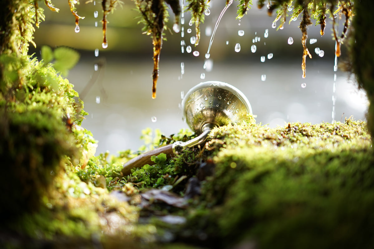 Fotografie der Handbrause Klara unter einem bemoosten Brunnen in Schiltach im Schwarzwald (bei diesem Bild ist keine KI im Spiel)