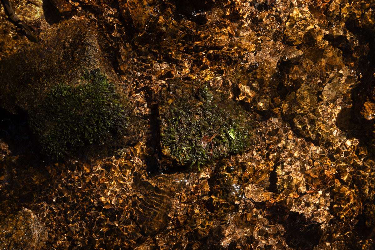 Natur-Motiv Buzzi klara: Fotografie ohne Handbrause, Bachlauf bei Schiltach im Schwarzwald